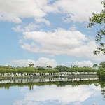 Image of Westminster St. Augustine (3)