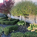 Image of Home Inspired Senior Living (4)