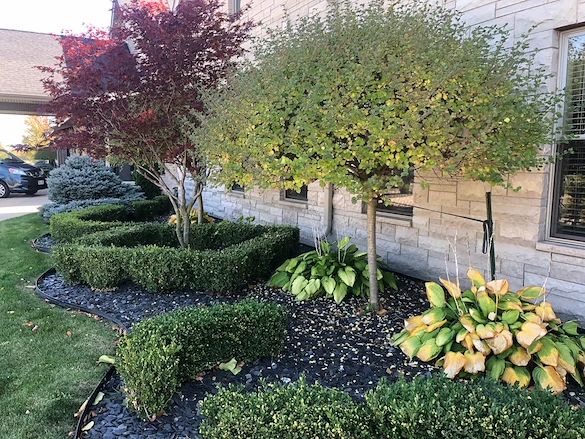 Image of Home Inspired Senior Living (4)