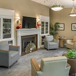 Image of Elderwood Of Scallop Shell At Wakefield (4)