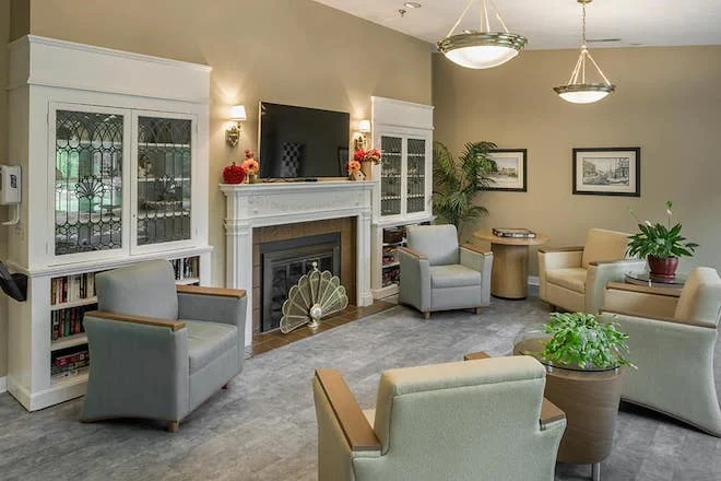 Image of Elderwood Of Scallop Shell At Wakefield (4)