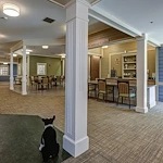 Image of Arden Courts at Glen Ellyn (5)