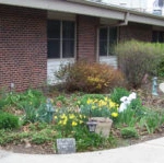 Image of Spurgeon Manor - Assisted Living (6)
