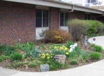 Image of Spurgeon Manor - Assisted Living (5)