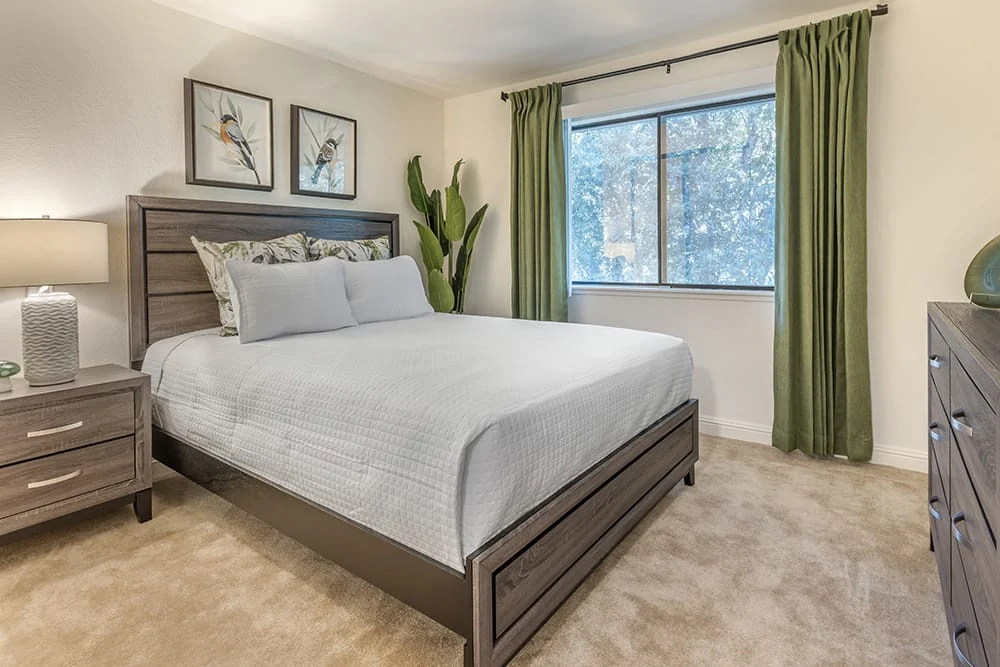 Image of Brookdale Scotts Valley (10)