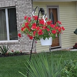 Image of White Orchid Adult Family Home (3)