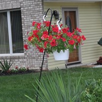 Image of White Orchid Adult Family Home (3)