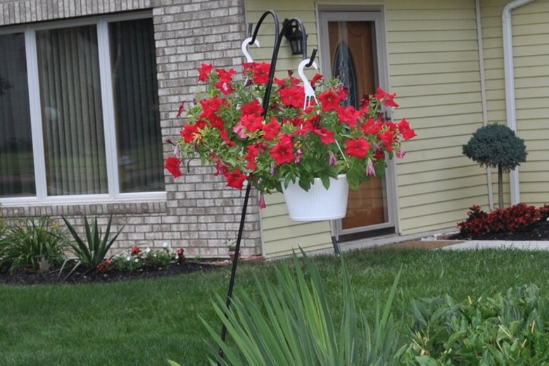 Image of White Orchid Adult Family Home (3)