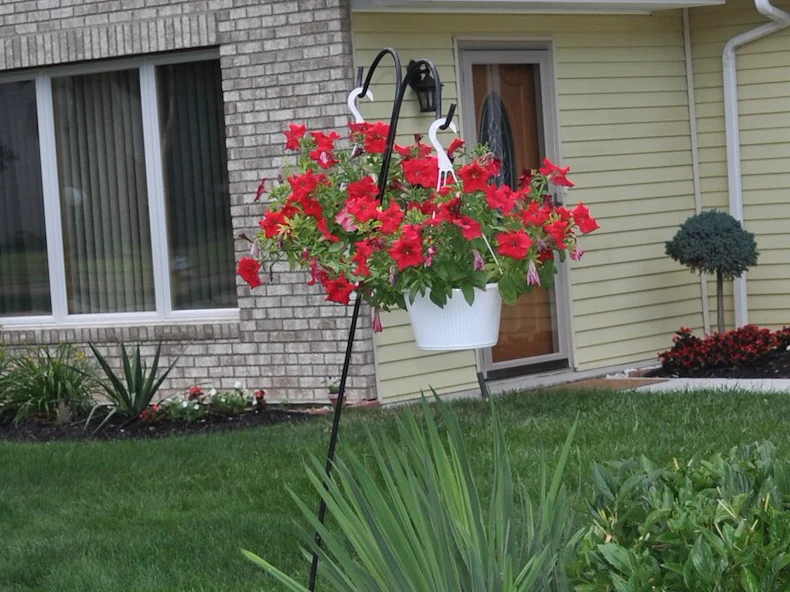 Image of White Orchid Adult Family Home (3)