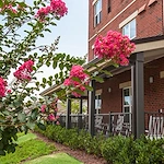 Image of Clearborn Point at Heritage Landing Senior (2)