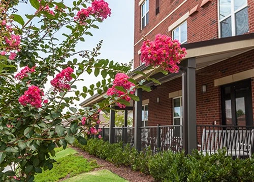 Image of Clearborn Point at Heritage Landing Senior (2)