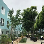 Image of Castlewood Terrace II (4)