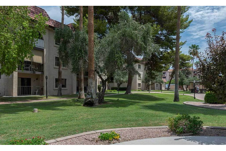 Image of Olive Grove (2)