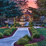 Image of The View Alexandria (5)