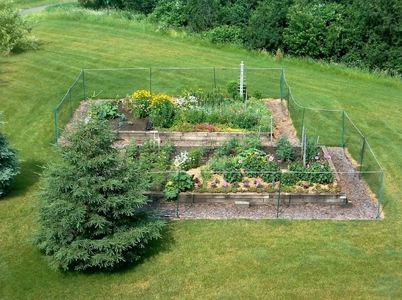 Image of Realife Cooperative of Brooklyn Park (3)