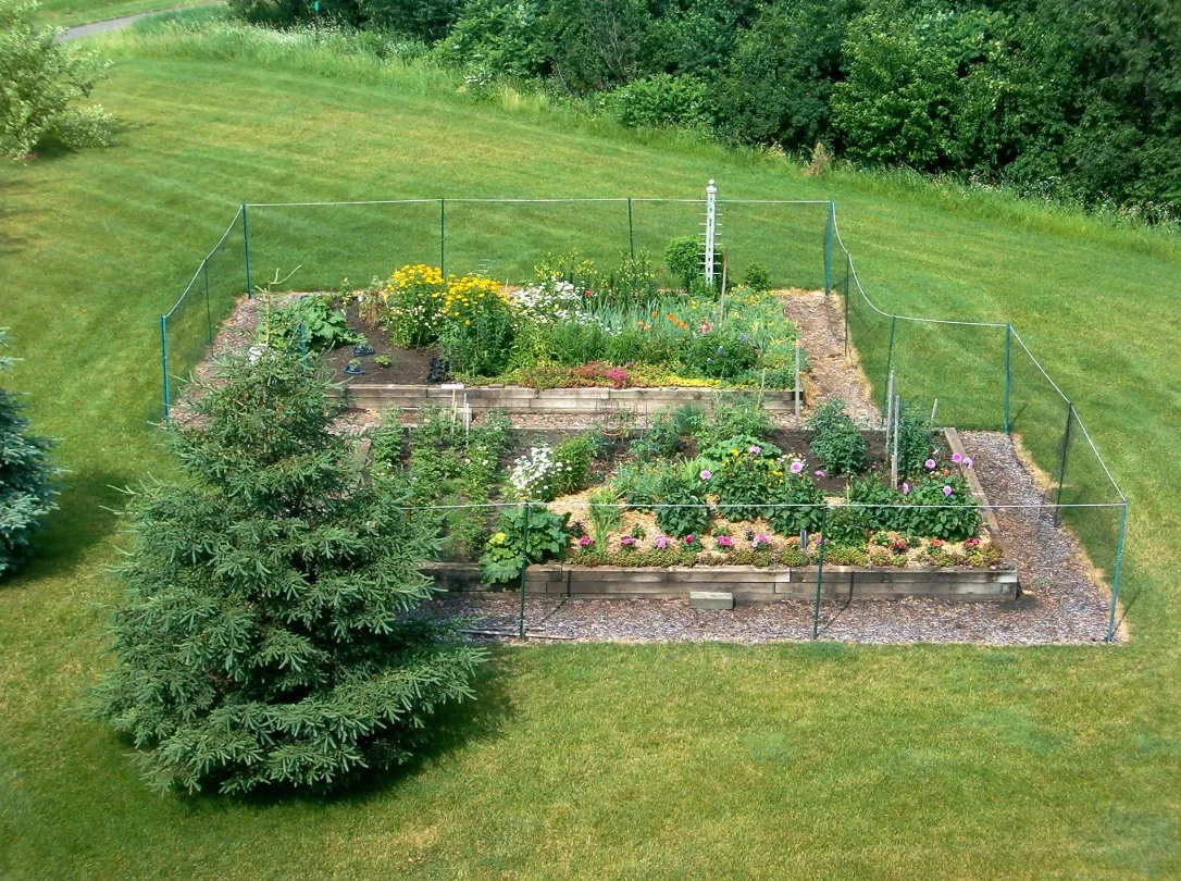 Image of Realife Cooperative of Brooklyn Park (3)