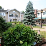 Image of Willow Brook Rehab & Healthcare Center (1)