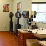 Image of Neighbors - Central Neighborhood (The) (4)