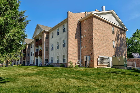 Image of Tall Trees (3)