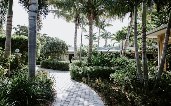 Image of A Banyan Residence (2)