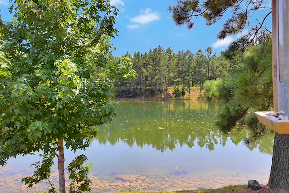 Image of Village Care Homes - Berean (2)