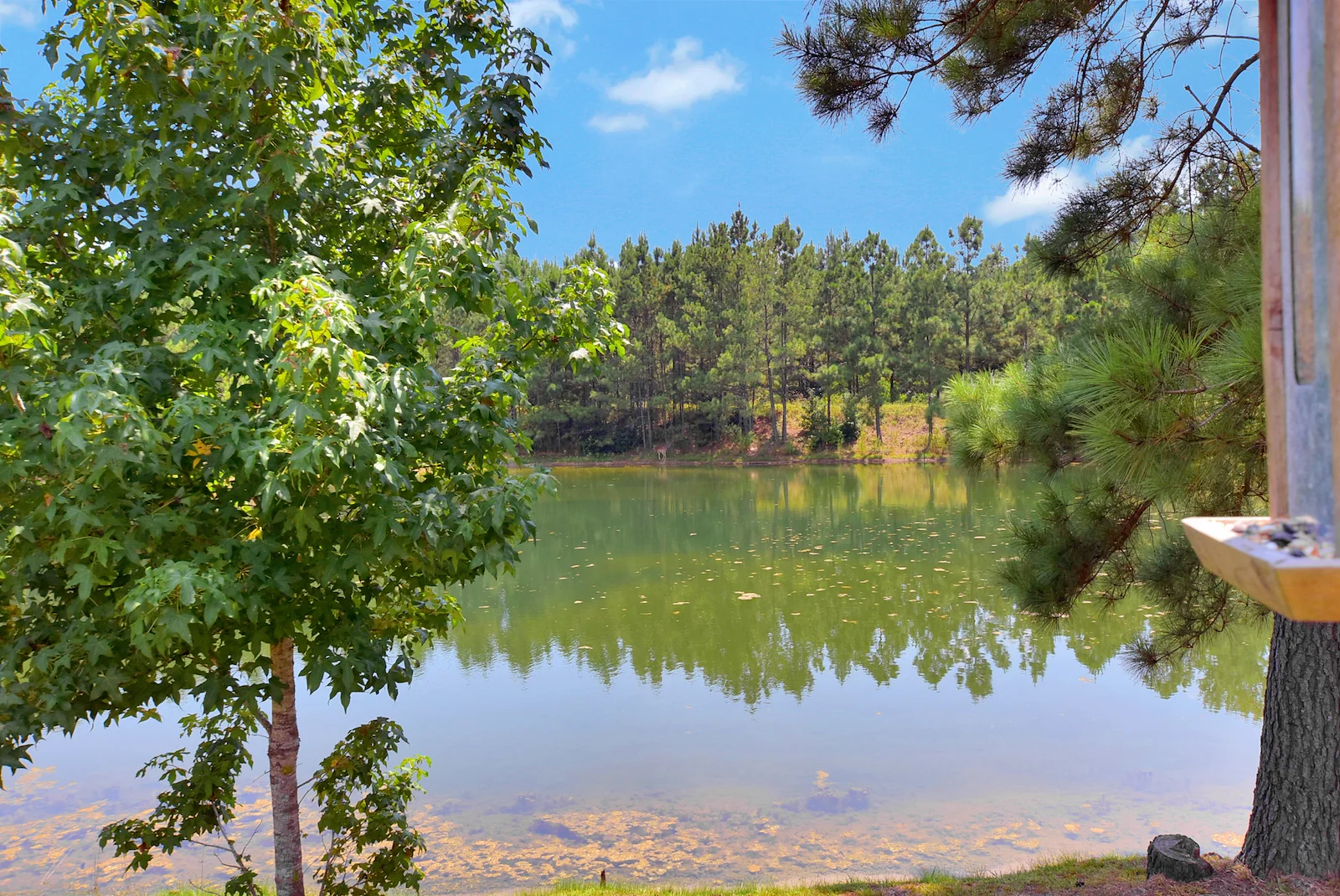 Image of Village Care Homes - Berean (2)