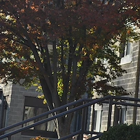Image of Grafton Oaks Nursing And Rehabilitation Center (3)
