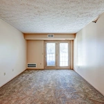 Image of Tall Trees (6)