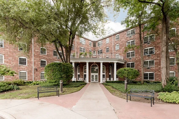 Image of Lilac Senior (1)