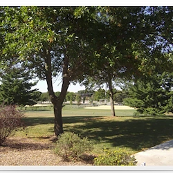 Image of Hillview Health Care Ctr (4)