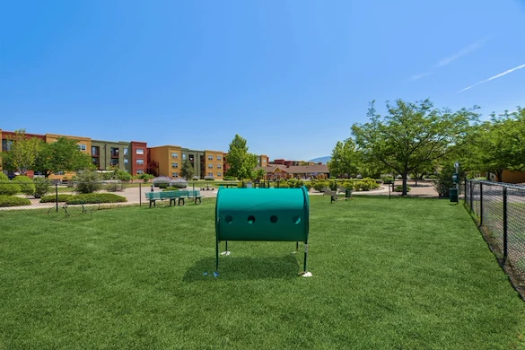 Image of Buena Vista Senior (2)