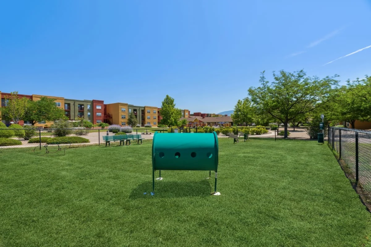 Image of Buena Vista Senior (2)