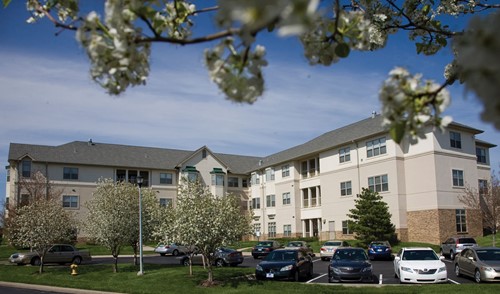 Image of Village Shalom Inc (3)