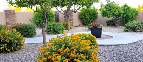 Image of The Villas At Wilmot, Villa F (9)
