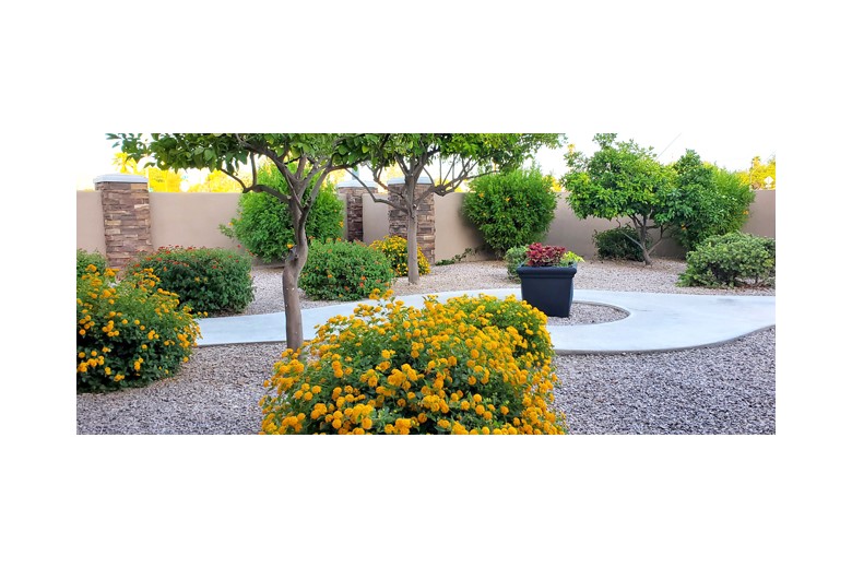 Image of The Villas At Wilmot, Villa F (9)