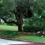 Image of Aiken Rehabilitation And Care Center (1)