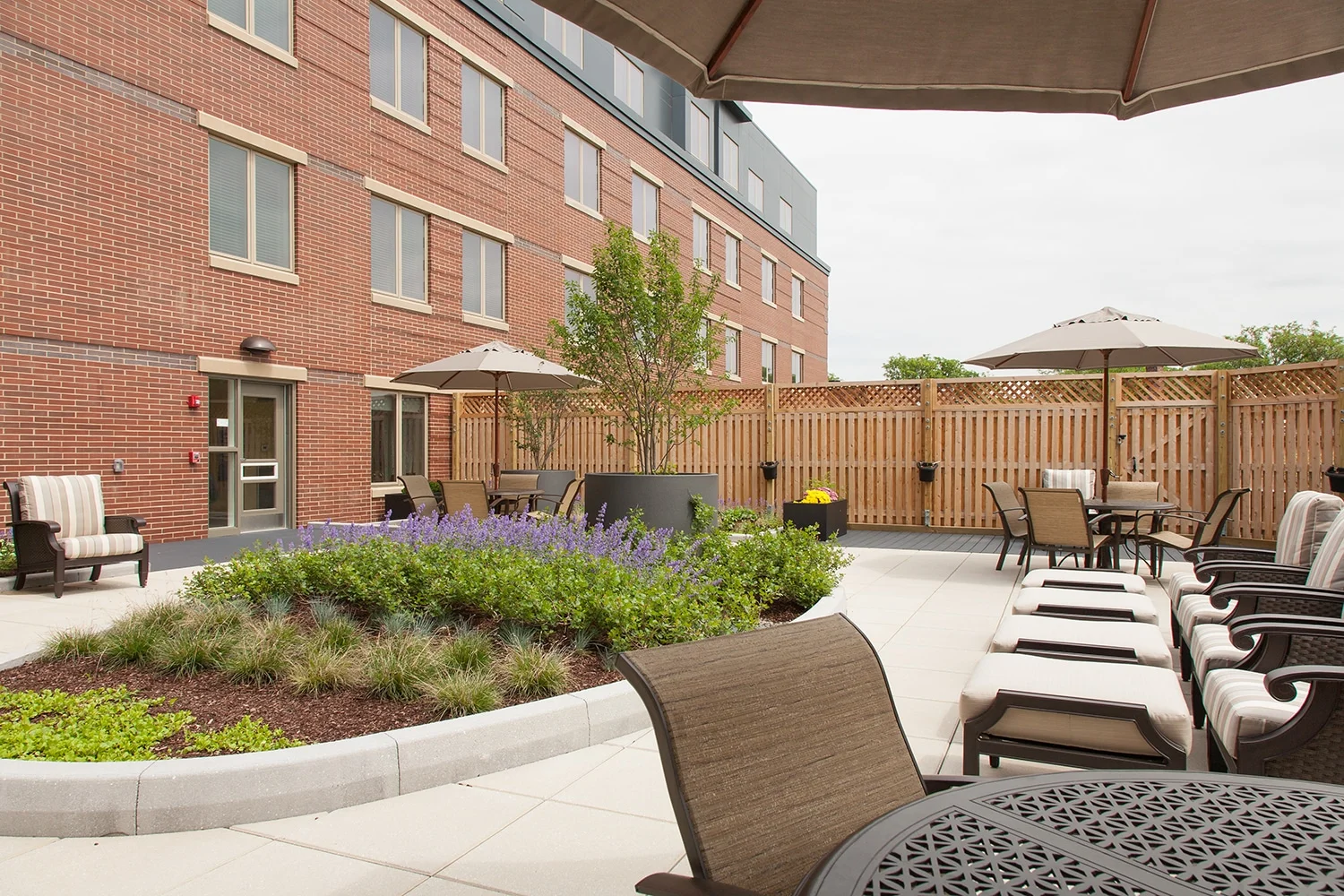 Image of The Residence at Watertown Square (2)