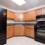 Image of Lilac Senior (8)