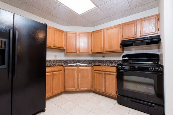 Image of Lilac Senior (8)