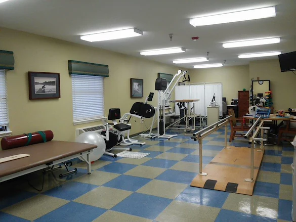 Image of Palma Real (6)