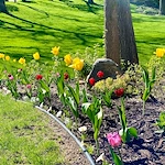 Image of Spirit Care Homes (7)