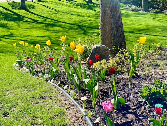 Image of Spirit Care Homes (7)