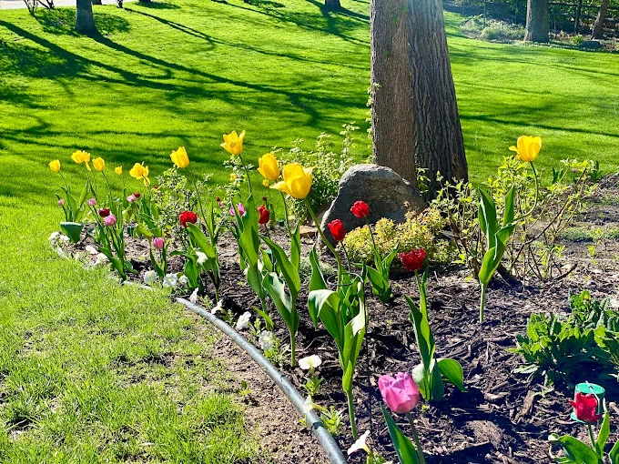 Image of Spirit Care Homes (7)