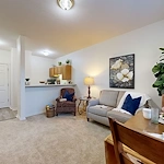 Image of Green Tree (10)