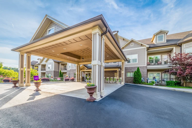 Image of Rain Forest Landings (1)