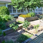 Image of Regency Retirement Village of Jackson (5)