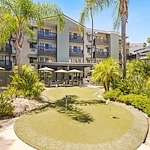 Image of Ivy Park of Wellington (9)