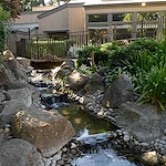 Image of Atria Willow Glen (4)