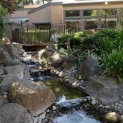 Image of Atria Willow Glen (4)