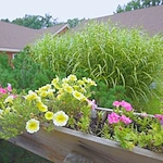 Image of Medilodge of Okemos (2)